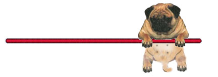 pugline3.jpg (10057 bytes)